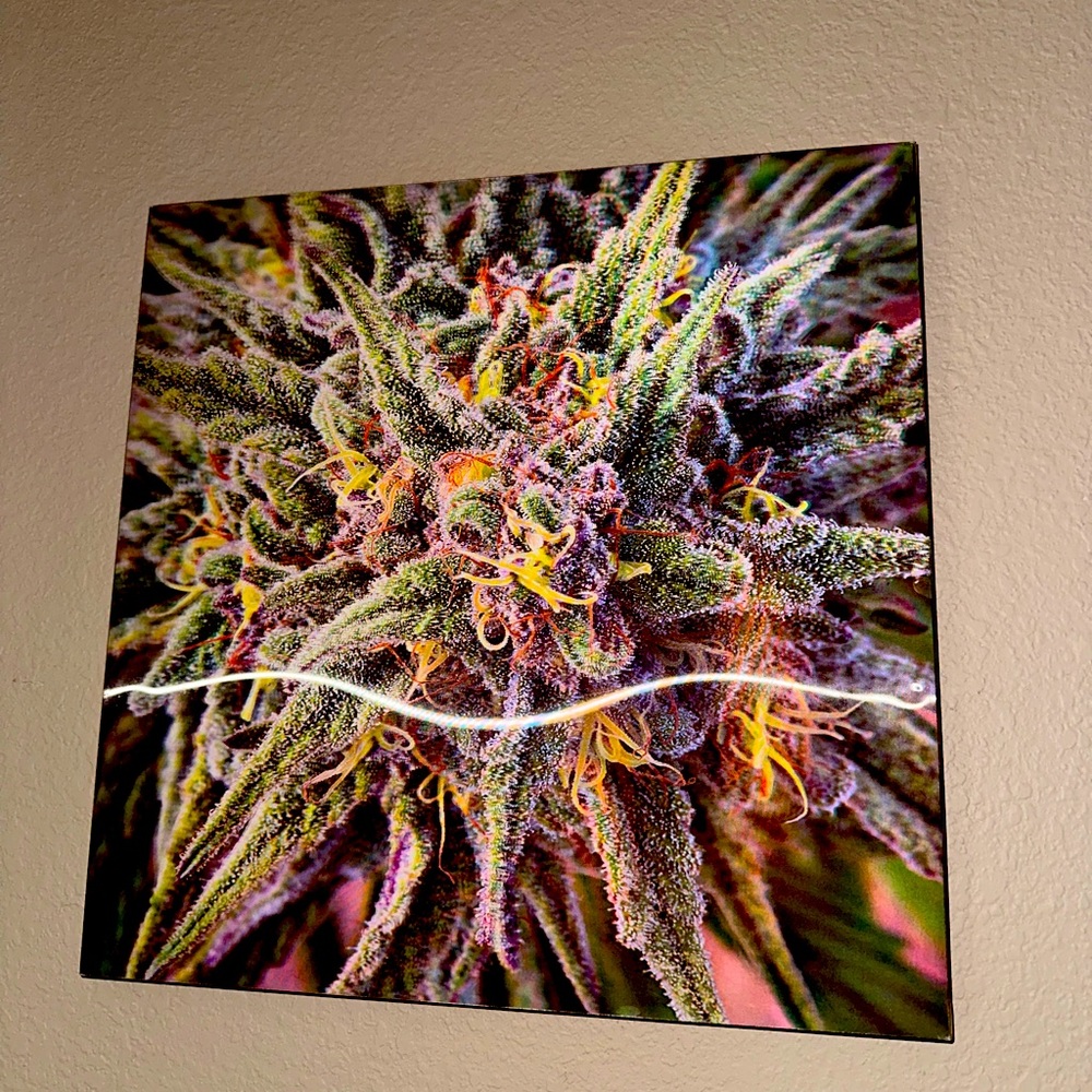 3d wall decor